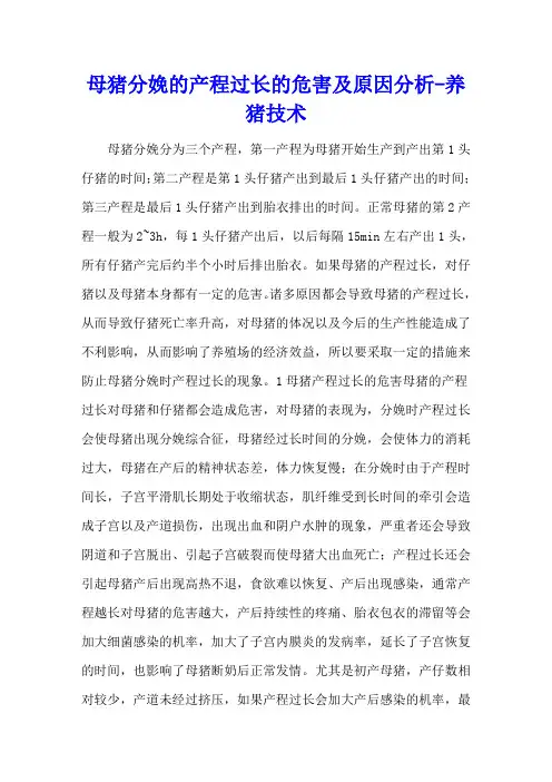 母猪分娩的产程过长的危害及原因分析 - 养猪技术