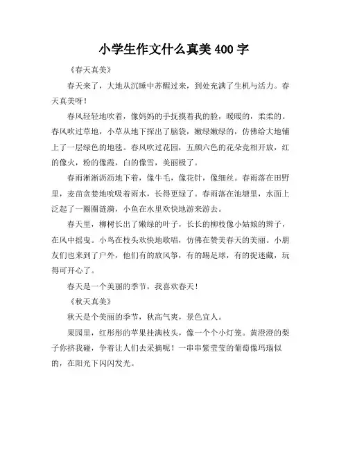 小学生作文什么真美400字