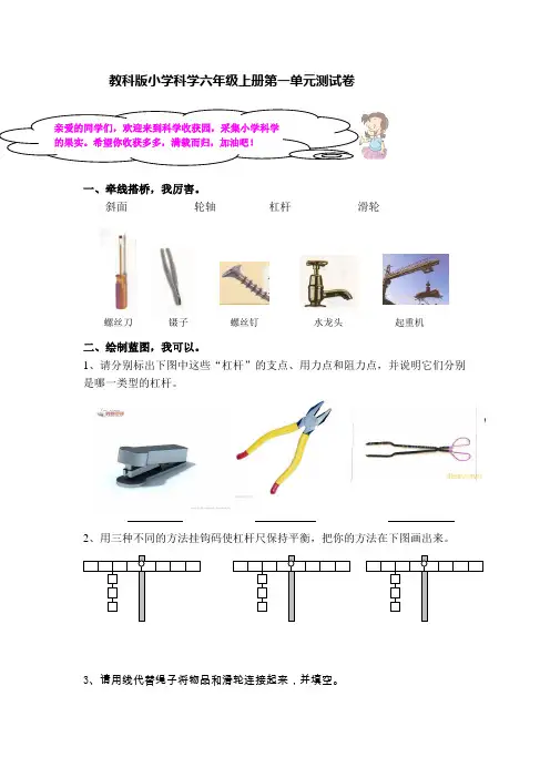 教科版小学科学六年级上册第一单元测试卷