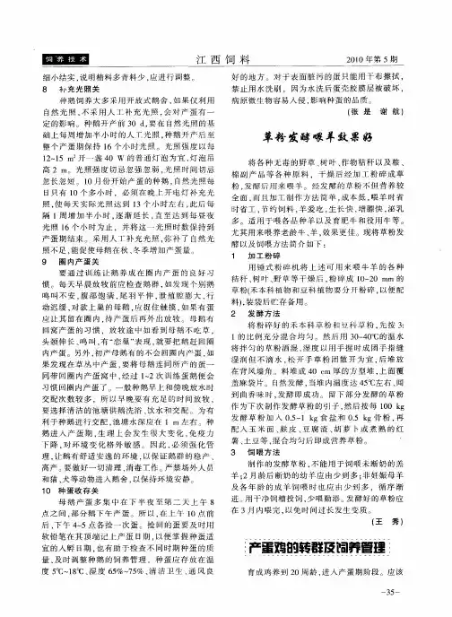 产蛋鸡的转群及饲养管理