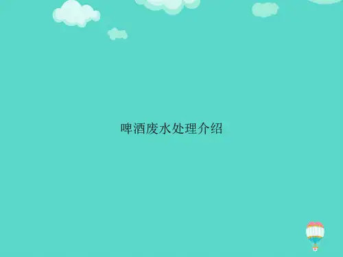 【高质量】啤酒废水处理介绍PPT文档