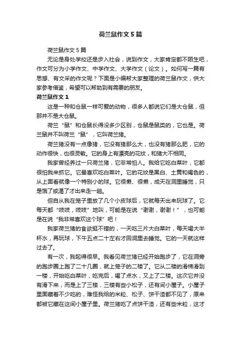 荷兰鼠作文5篇