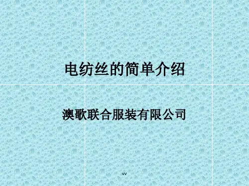 关于电纺丝的简单介绍.ppt