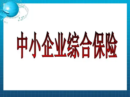 《中小企业综合保险》PPT课件