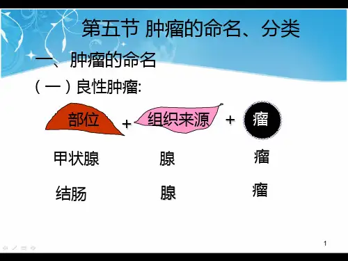 肿瘤的命名和分类PPT课件
