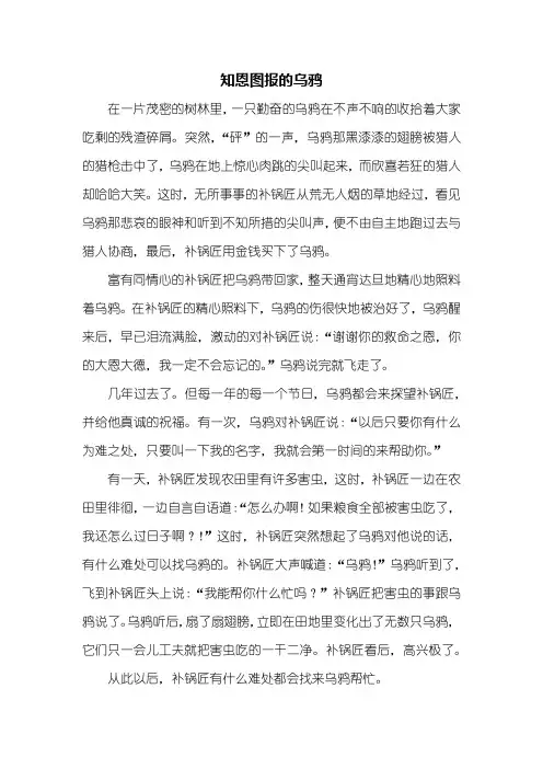 五年级作文：知恩图报的乌鸦作文600字_1