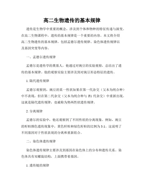 高二生物遗传的基本规律