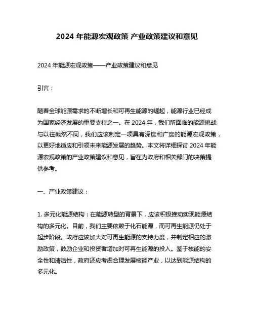 2024年能源宏观政策 产业政策建议和意见