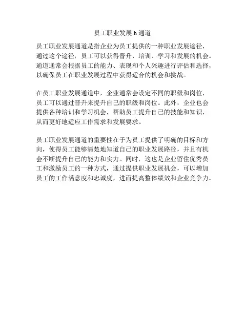 员工职业发展h通道