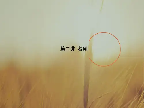 2018版高考英语一轮复习课件：语法：第二讲 名词 精品