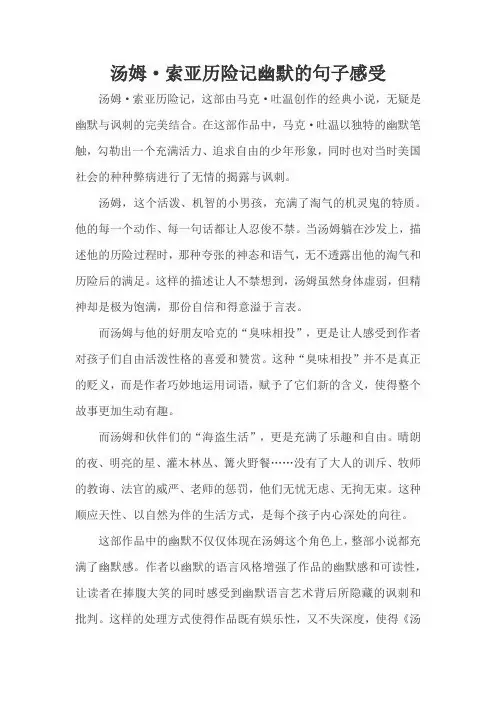 汤姆·索亚历险记幽默的句子感受