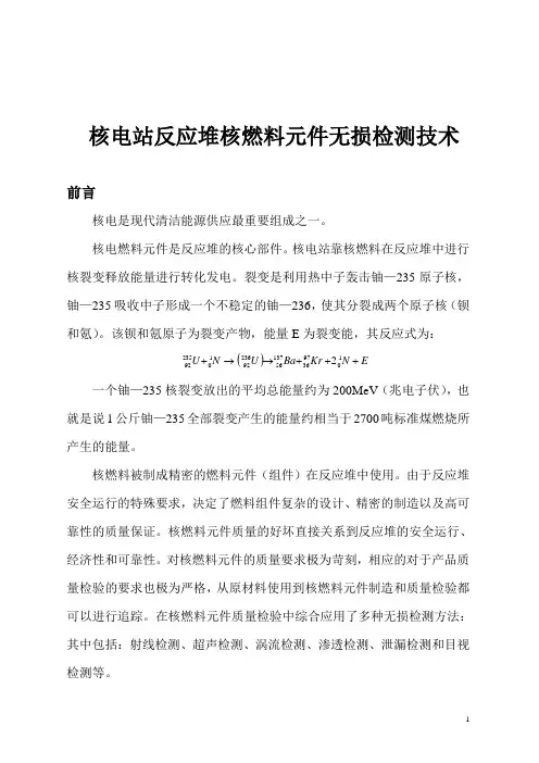 核燃料棒射线检测(9