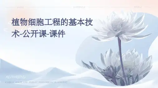 植物细胞工程的基本技术-公开课-课件