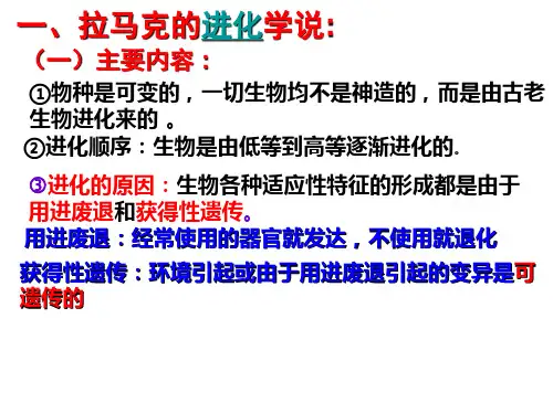 种群基因频率的改变与生物进化