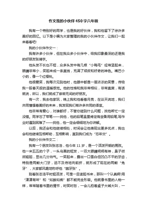 作文我的小伙伴450字六年级