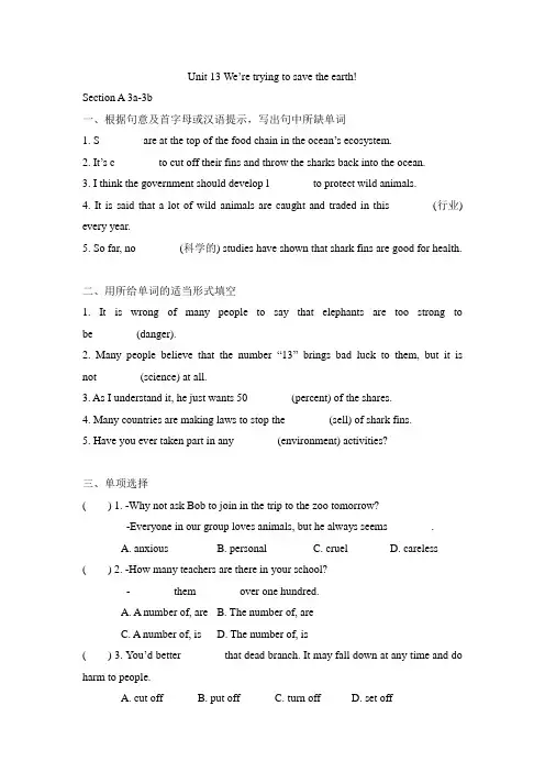 人教版九年级全一册英语Unit 13 Section A 3a-3b课时练习(包含答案)