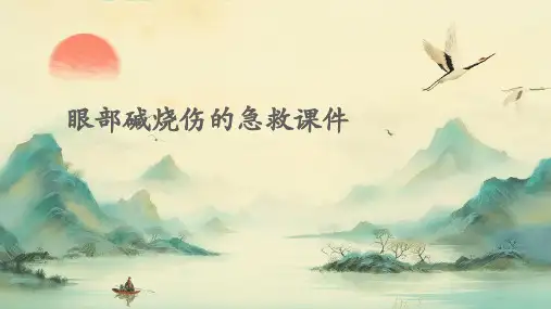 眼部碱烧伤的急救课件