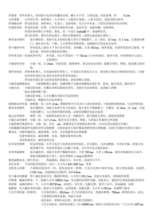 局部解剖大体标本