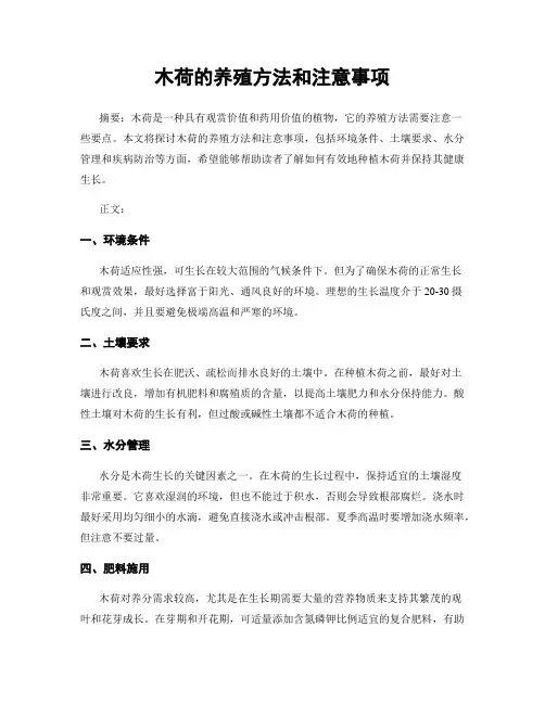 木荷的养殖方法和注意事项