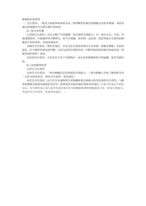 植物组织的类型--分生组织
