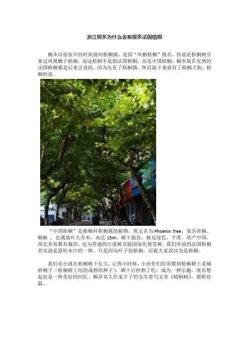 浙江桐乡为什么会有很多法国梧桐