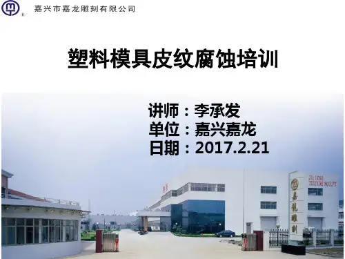 塑料模具皮纹腐蚀培训课件