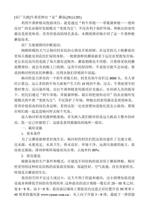 蘑菇养殖