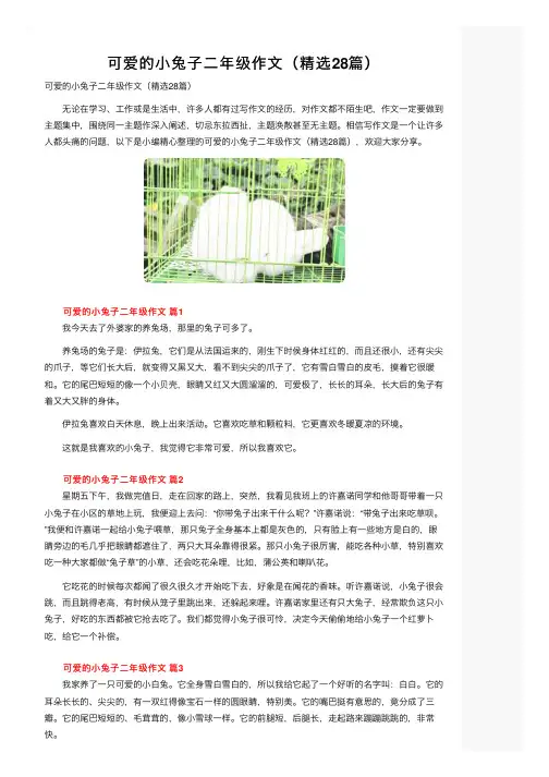 可爱的小兔子二年级作文（精选28篇）