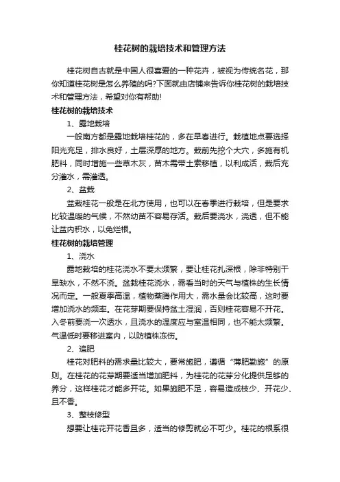 桂花树的栽培技术和管理方法