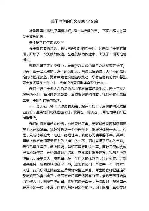 关于捕鱼的作文800字5篇
