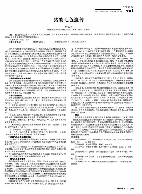 猪的毛色遗传