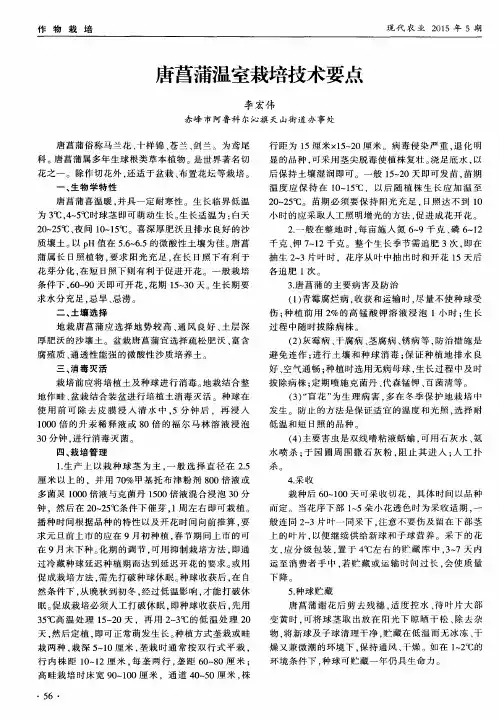 唐菖蒲温室栽培技术要点