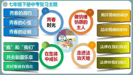 2023年中考道德与法治一轮复习专题《在集体中成长》复习课件及练习(全国通用)