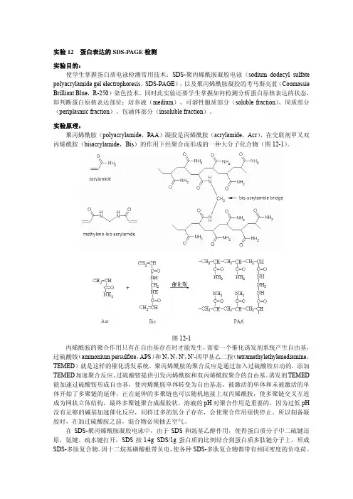 sds page 配置方法