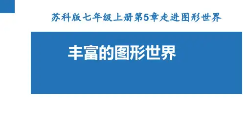 5.1 丰富的图形世界  苏科版数学七年级上册课件