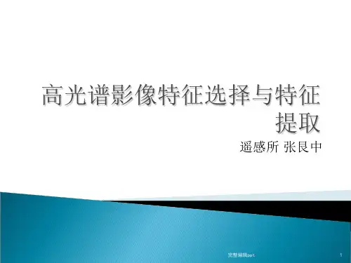 高光谱影像特征选择与提取 完整ppt课件