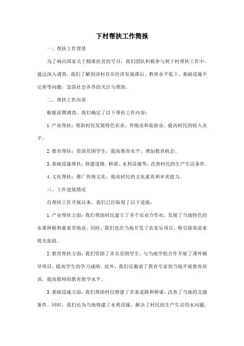 下村帮扶工作简报