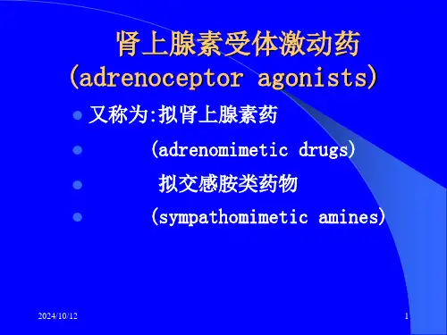理学肾上腺受体激动药