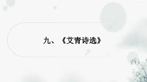 中考语文复习综合学习专题二名著阅读九《艾青诗选》课件