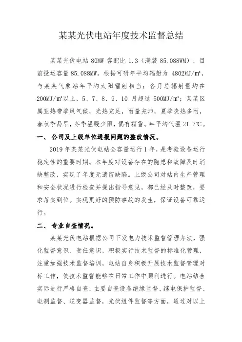 某某光伏电站年度技术监督总结(适用于光伏及电力行业)