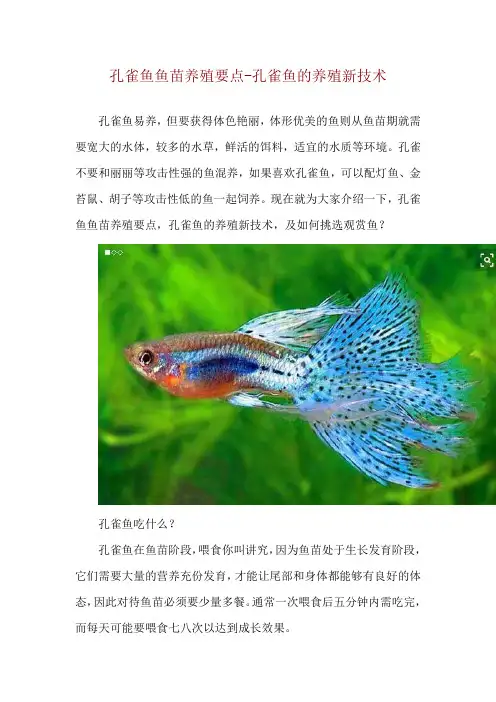 孔雀鱼鱼苗养殖要点孔雀鱼的养殖新技术