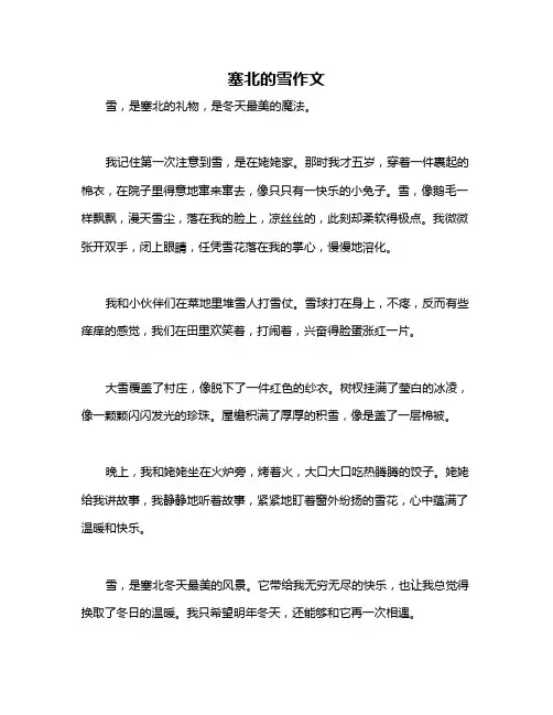 塞北的雪作文