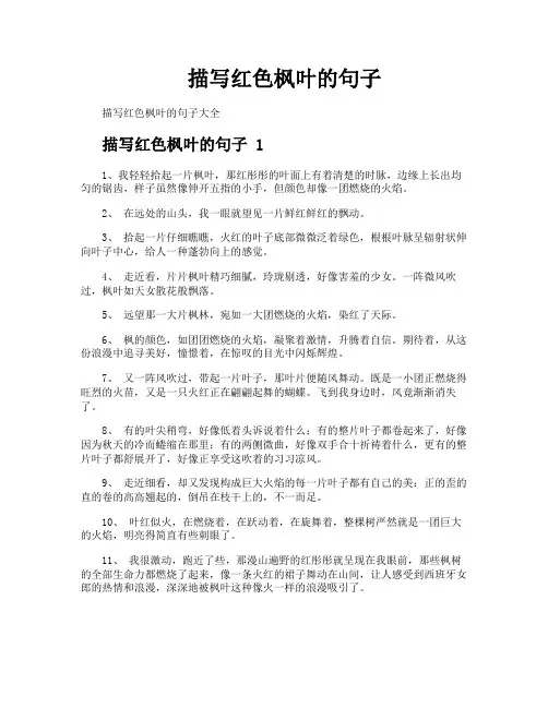 描写红色枫叶的句子