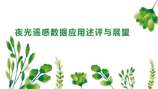 夜光遥感数据应用述评与展望