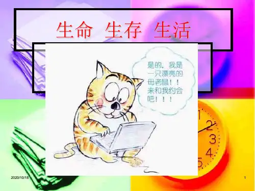 《警惕网络陷阱》PPT-山东人民版思品五上PPT优选课件