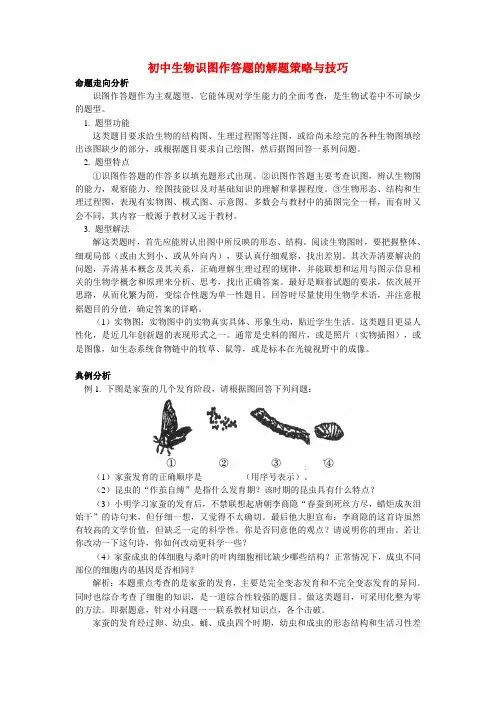 初中生物识图作答题的解题策略与技巧学法指导