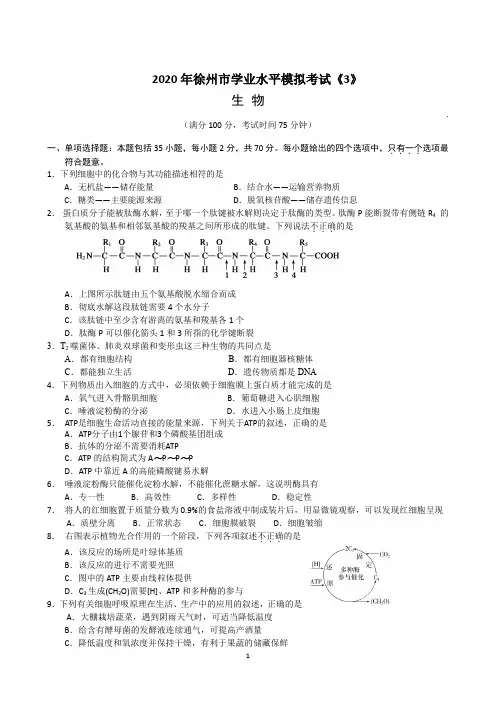 3.  江苏省徐州市2020年高二学业水平测试-Word版含答案 )