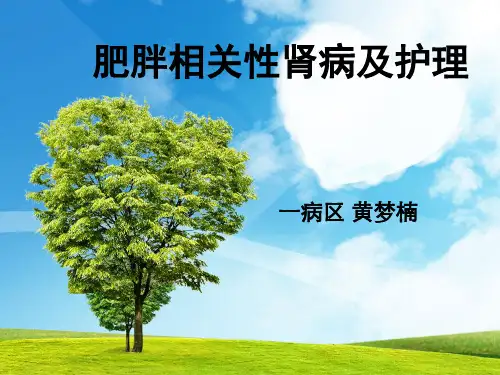 肥胖相关性肾病