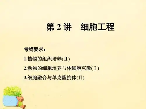 2017届高考生物一轮复习 现代生物科技 第2讲 细胞工程课件(选修3)