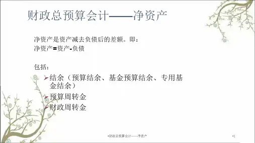 财政总预算会计净资产课件